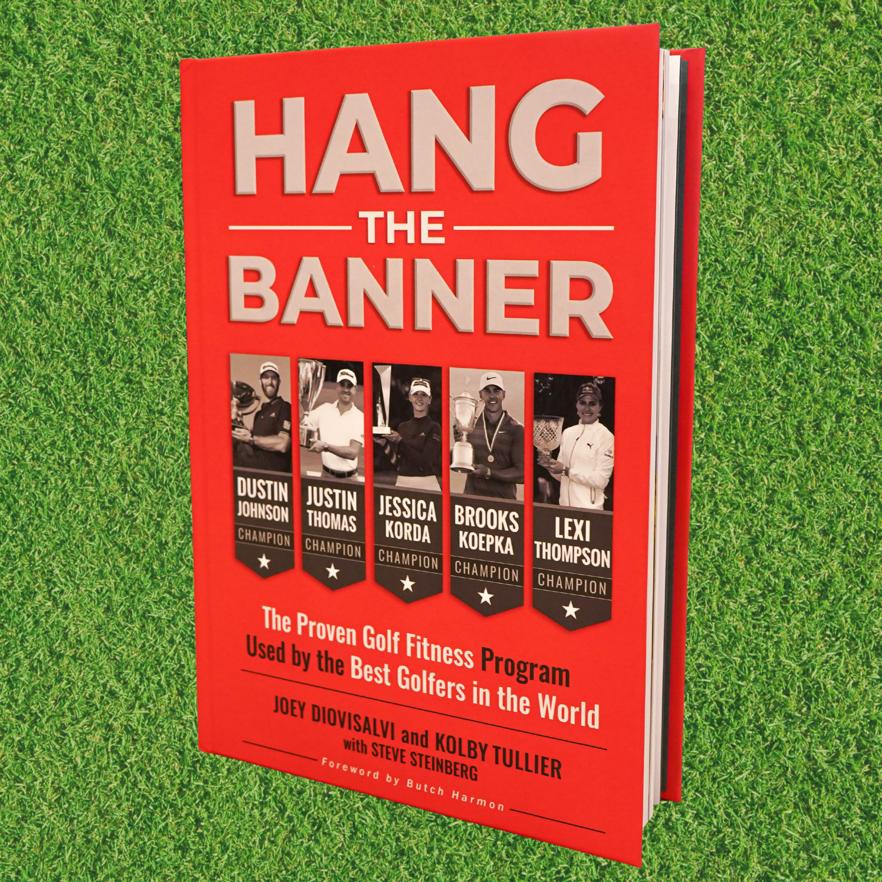 Hang The Banner - Hardcover